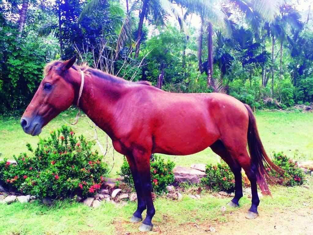 Sapphire Holiday Resort Ratnapura Exterior foto